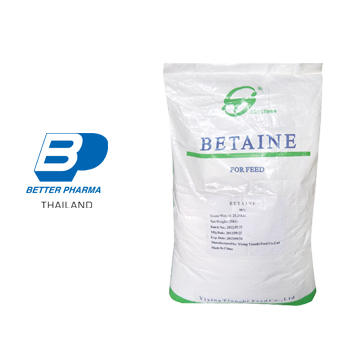 Betaine 80%